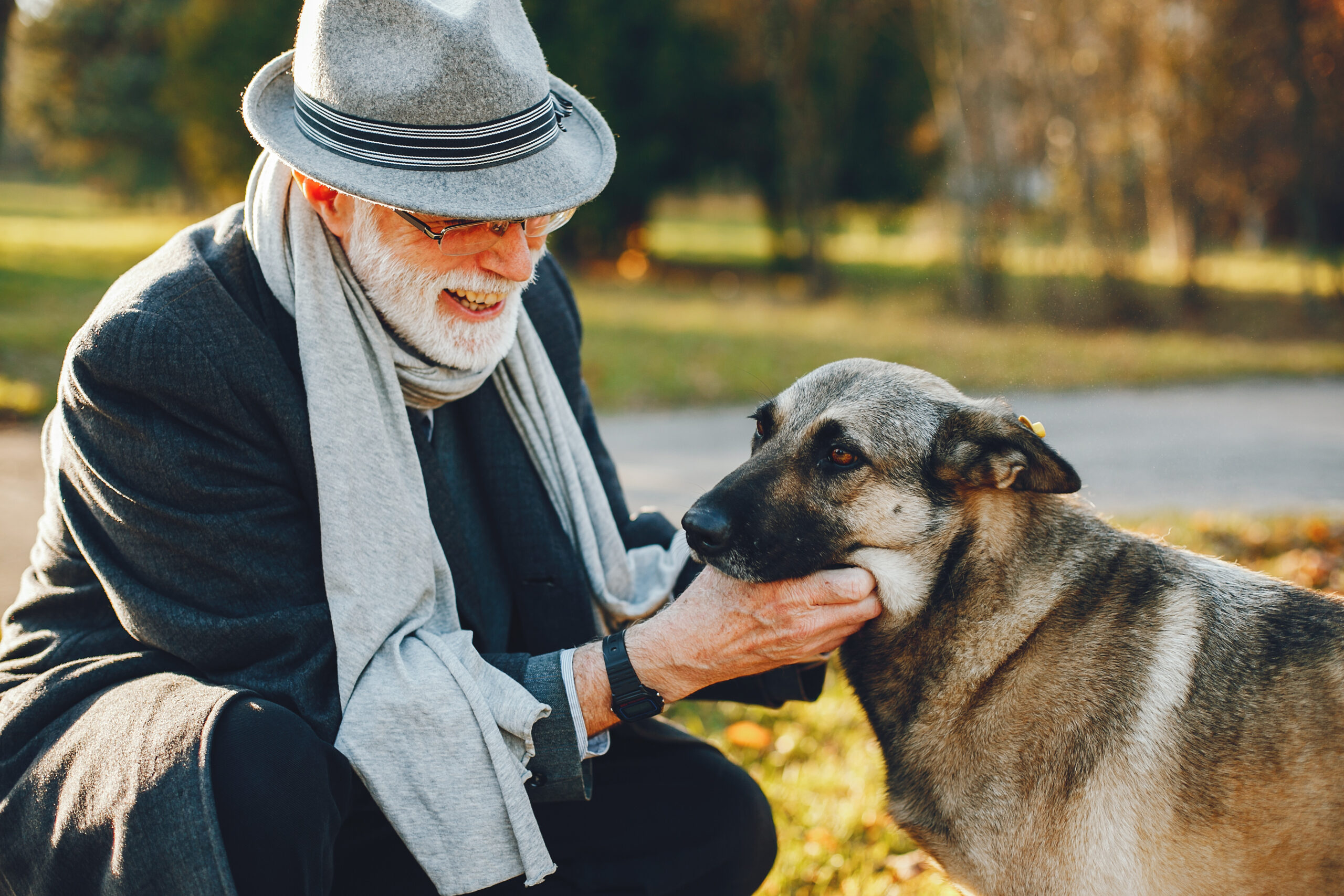 Elegant old man in a sunny autumn park